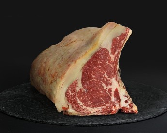 COSTATA JERSEY PLATINUM