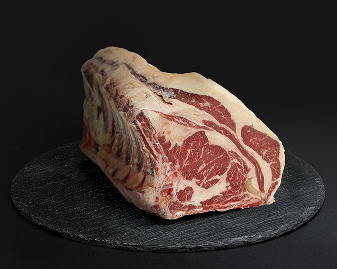 COSTATA SCOTTONA PLATINUM