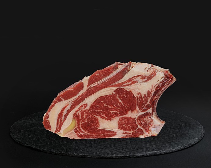 COSTATA SCOTTONA  DANESE