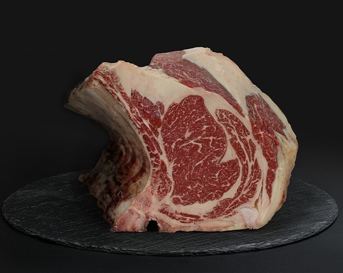 COSTATA ANGUS PLATINUM