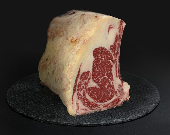 COSTATA FRISONA PLATINUM