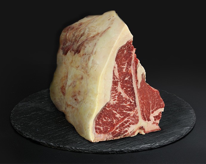 T-BONE FRISONA PLATINUM