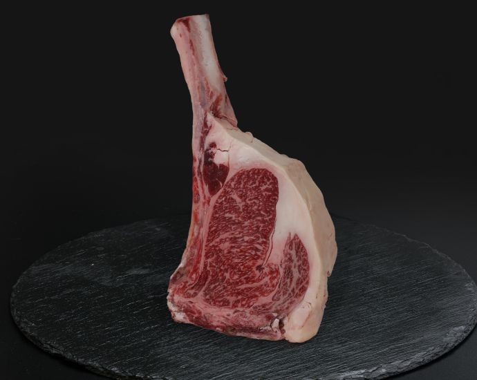 TOMAHAWK VACCA GALLEGA S/V