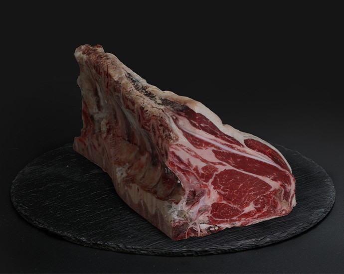 COSTATA SCOTTONA LIMOUSINE