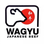 wagyu japan hida beef